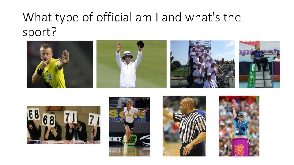 What type of official am I and what's the sport? 