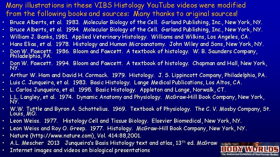  • • • • Many illustrations in these VIBS Histology You. Tube videos