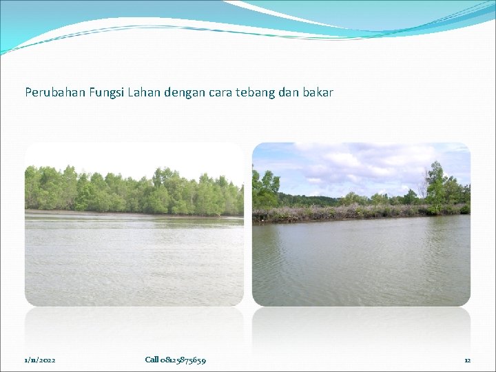 Perubahan Fungsi Lahan dengan cara tebang dan bakar 1/11/2022 Call 08125875659 12 