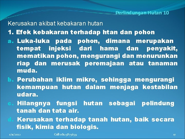 Perlindungan Hutan 10 Kerusakan akibat kebakaran hutan 1. Efek kebakaran terhadap htan dan pohon