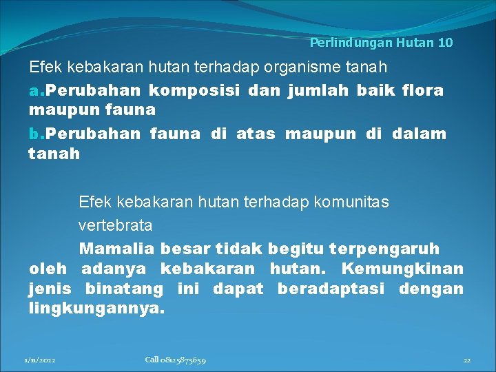 Perlindungan Hutan 10 Efek kebakaran hutan terhadap organisme tanah a. Perubahan komposisi dan jumlah