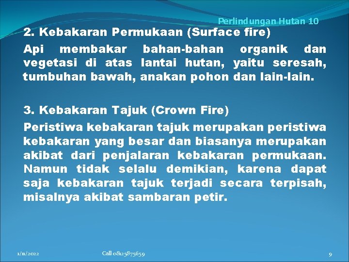 Perlindungan Hutan 10 2. Kebakaran Permukaan (Surface fire) Api membakar bahan-bahan organik dan vegetasi