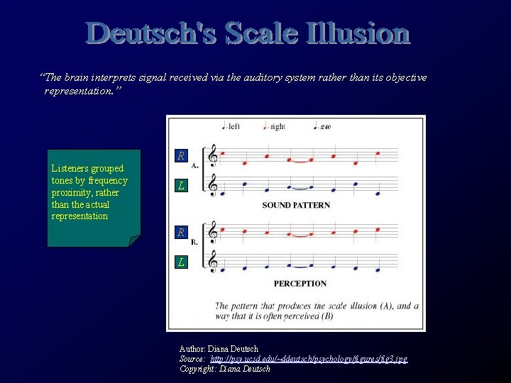“The brain interprets signal received via the auditory system rather than its objective representation.