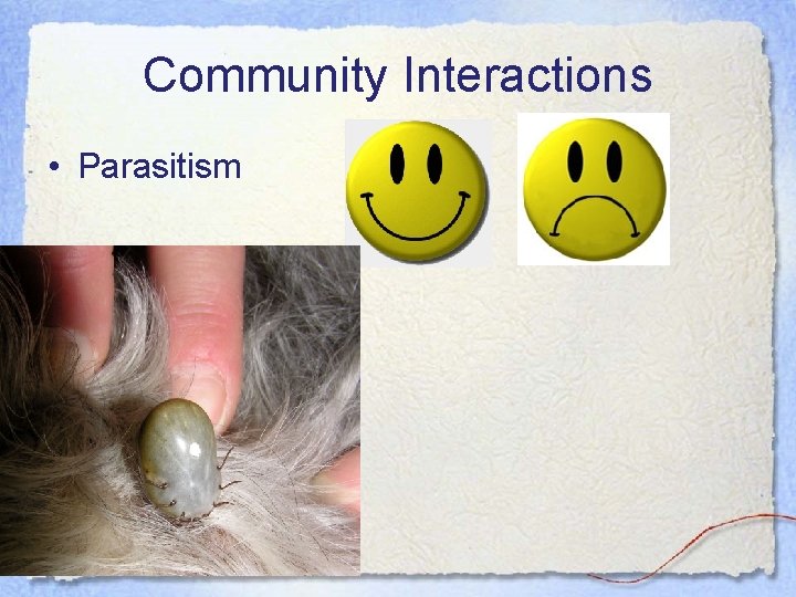 Community Interactions • Parasitism 