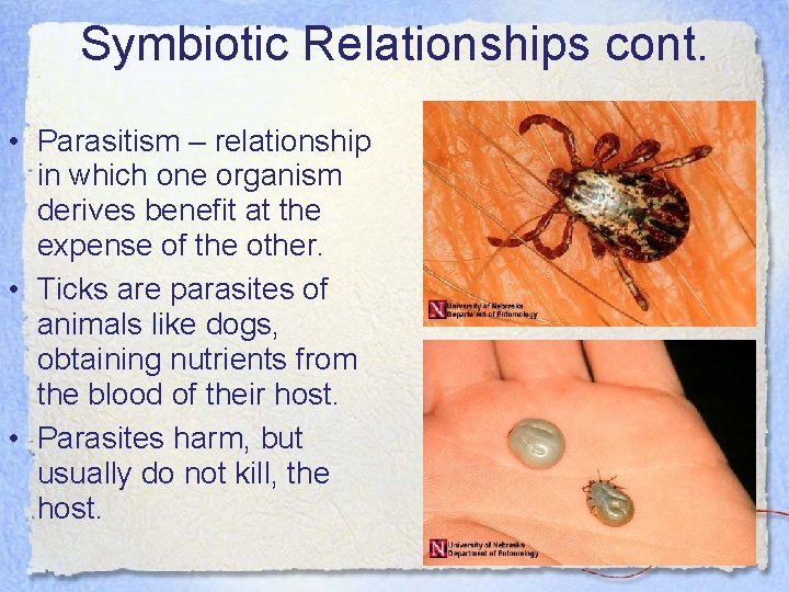 Symbiotic Relationships cont. • Parasitism – relationship in which one organism derives benefit at