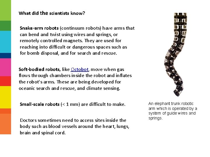 What did the scientists know? Snake-arm robots (continuum robots) have arms that can bend