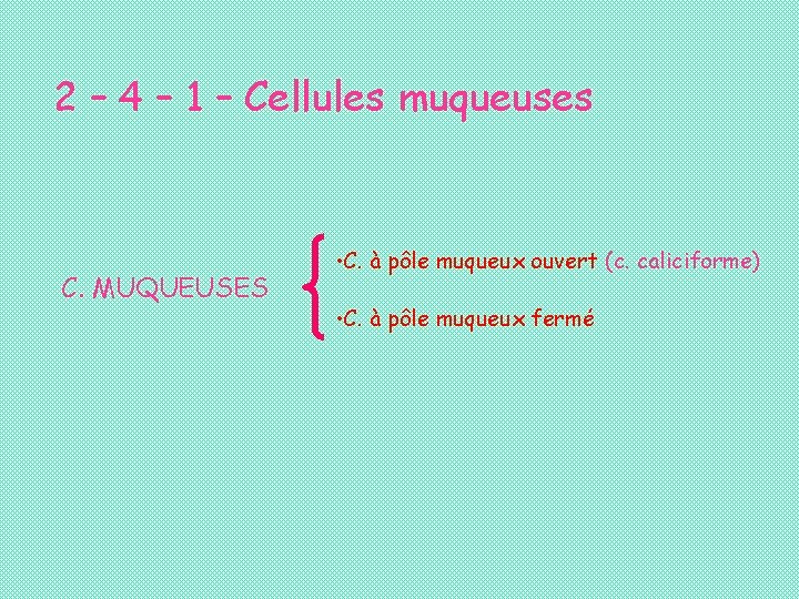 2 – 4 – 1 – Cellules muqueuses C. MUQUEUSES • C. à pôle