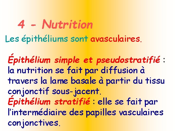 4 - Nutrition Les épithéliums sont avasculaires. Épithélium simple et pseudostratifié : la nutrition