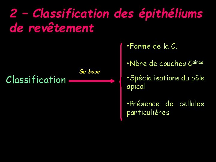 2 – Classification des épithéliums de revêtement • Forme de la C. Classification Se