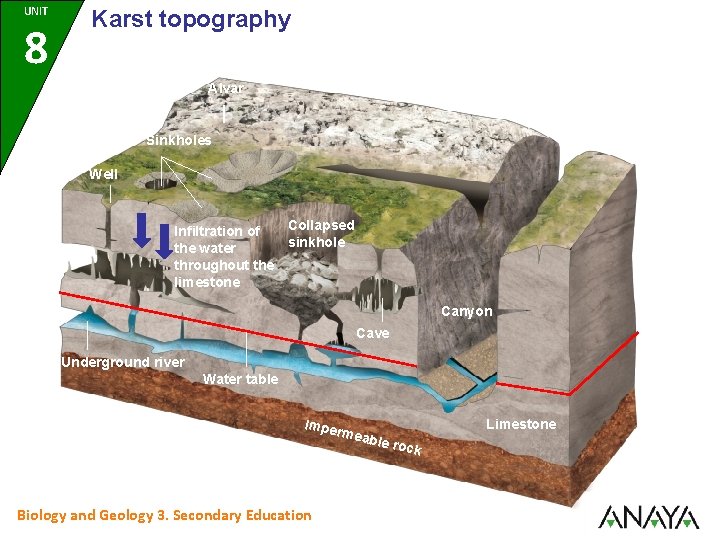 UNIT 8 Karst topography Alvar Sinkholes Well Collapsed Infiltration of sinkhole the water throughout