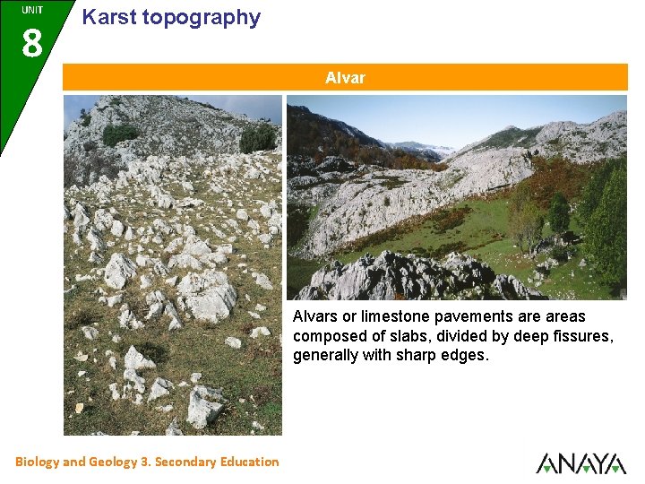 UNIT 8 Karst topography Alvars or limestone pavements areas composed of slabs, divided by