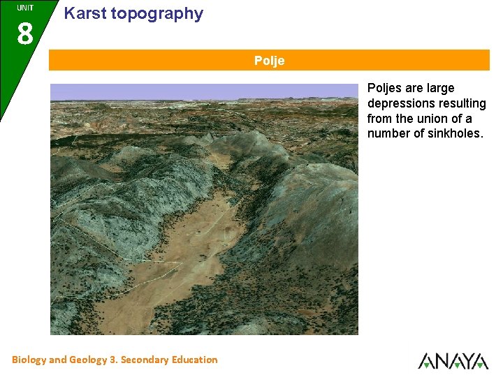 UNIT 8 Karst topography Poljes are large depressions resulting from the union of a
