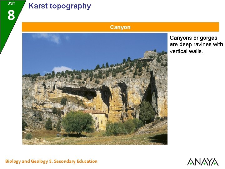 UNIT 8 Karst topography Canyons or gorges are deep ravines with vertical walls. Biology