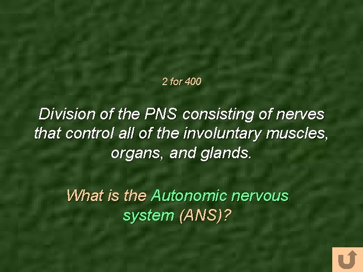 2 for 400 Division of the PNS consisting of nerves that control all of