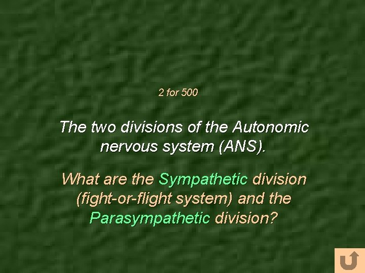 2 for 500 The two divisions of the Autonomic nervous system (ANS). What are