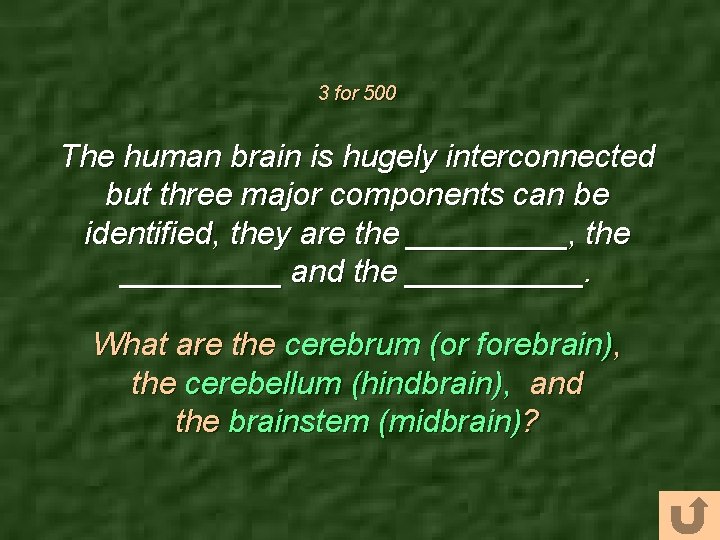 3 for 500 The human brain is hugely interconnected but three major components can