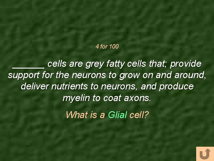 4 for 100 ______ cells are grey fatty cells that; provide support for the