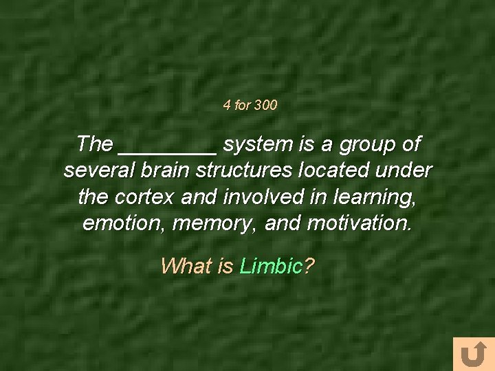 4 for 300 The ____ system is a group of several brain structures located