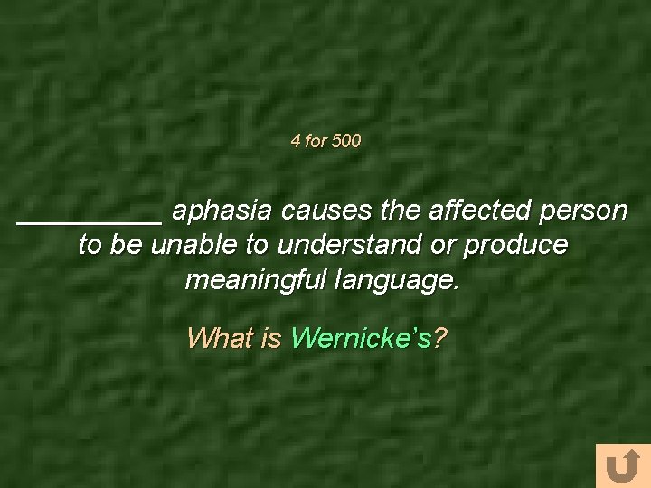 4 for 500 _____ aphasia causes the affected person to be unable to understand