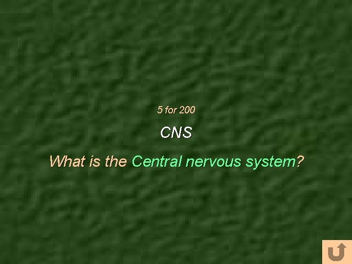 5 for 200 CNS What is the Central nervous system? 