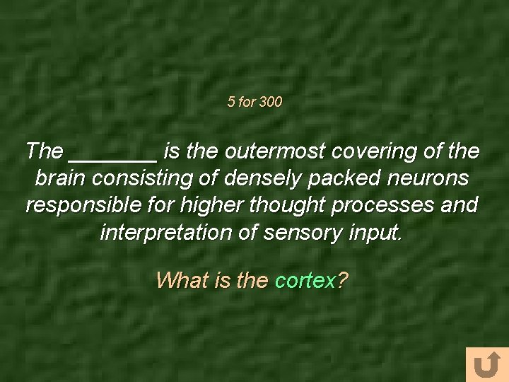 5 for 300 The _______ is the outermost covering of the brain consisting of