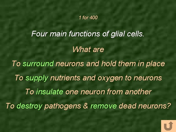 1 for 400 Four main functions of glial cells. What are To surround neurons