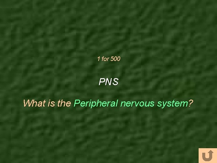 1 for 500 PNS What is the Peripheral nervous system? 