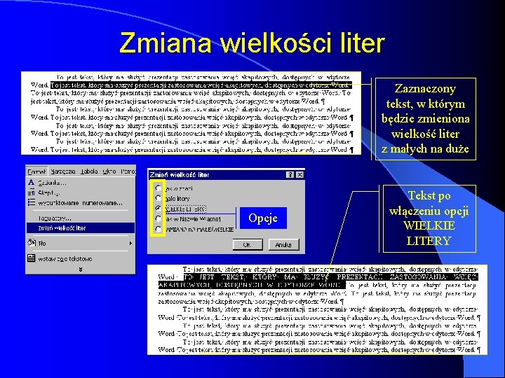 Zmiana wielkości liter Zaznaczony tekst, w którym będzie zmieniona wielkość liter z małych na Zmiana wielkości liter Zaznaczony tekst, w którym będzie zmieniona wielkość liter z małych na