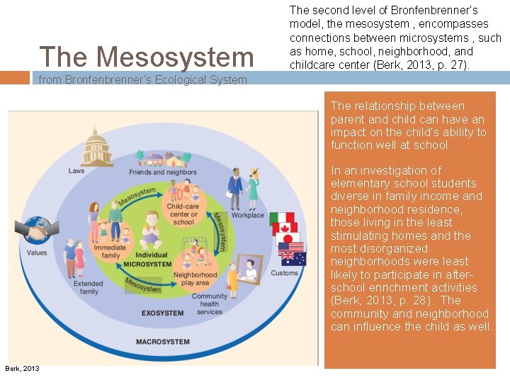 The Mesosystem The second level of Bronfenbrenner’s model, the mesosystem , encompasses connections between