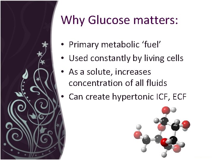 Why Glucose matters: • Primary metabolic ‘fuel’ • Used constantly by living cells •