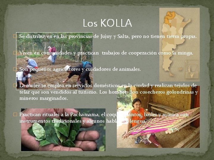 Los KOLLA � Se distribuyen en las provincias de Jujuy y Salta, pero no