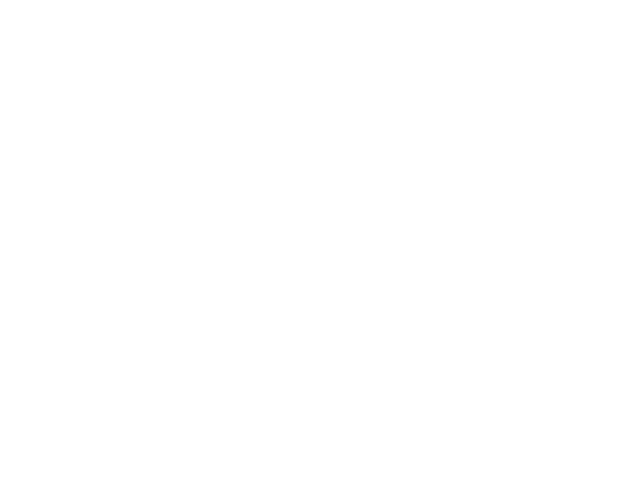 Parallelization & Synchronization Parallelization & Synchronization