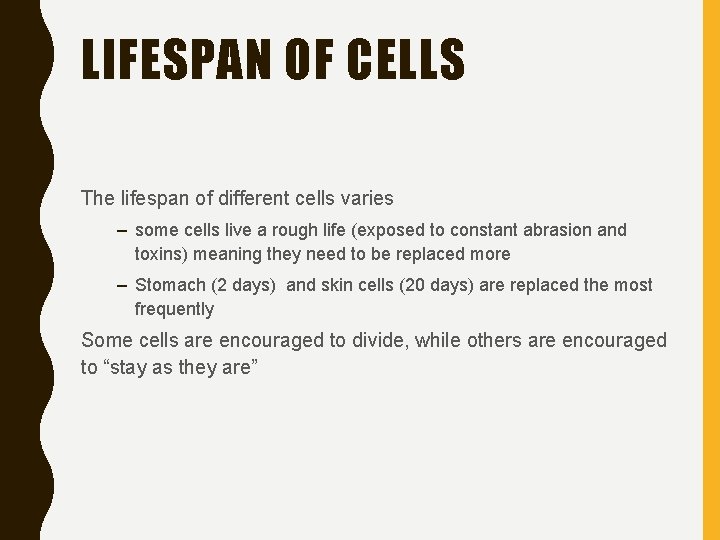 LIFESPAN OF CELLS The lifespan of different cells varies – some cells live a