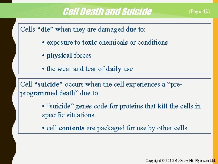 Cell Death and Suicide (Page 42) Cells “die” when they are damaged due to: