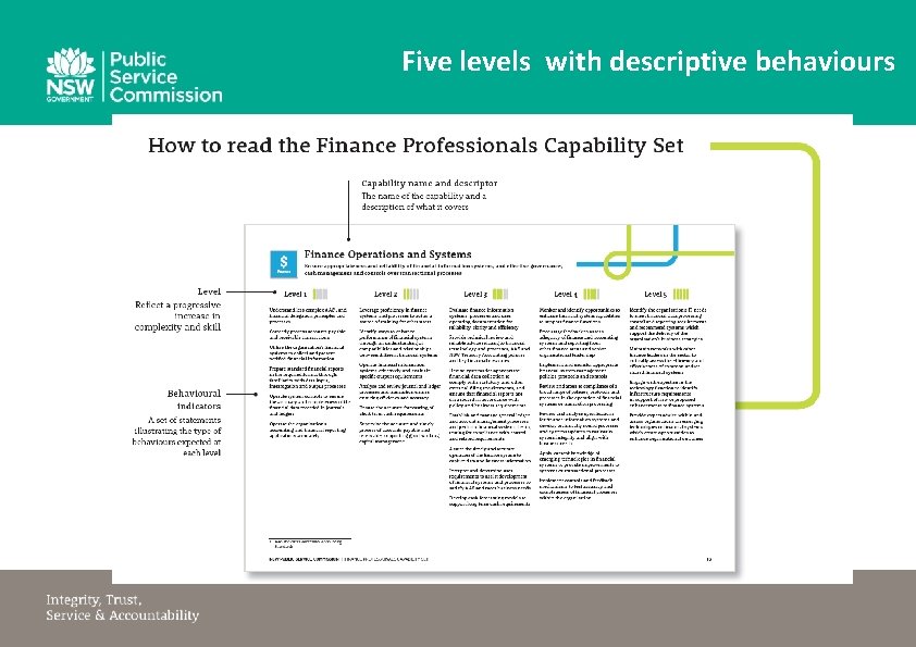 Five levels with descriptive behaviours 