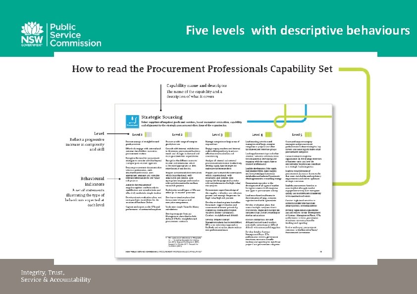 Five levels with descriptive behaviours 