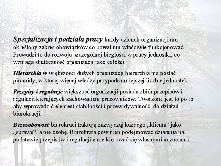 Specjalizacja i podziała pracy każdy członek organizacji ma określony zakres obowiązków co powal mu