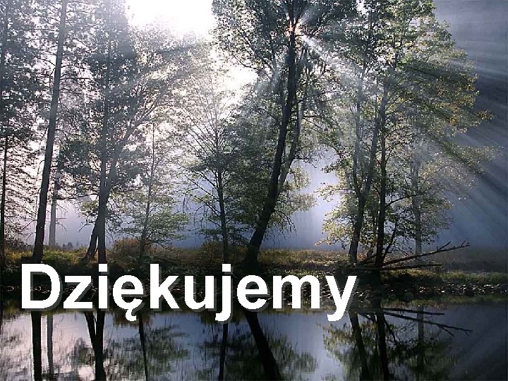 Dziękujemy 