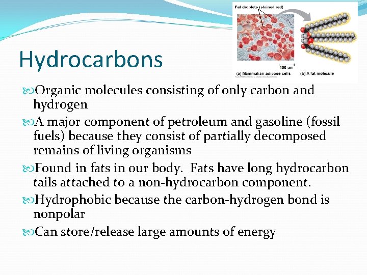 Hydrocarbons Organic molecules consisting of only carbon and hydrogen A major component of petroleum