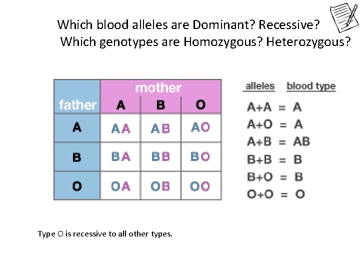 Which blood alleles are Dominant? Recessive? Which genotypes are Homozygous? Heterozygous? Type O is Which blood alleles are Dominant? Recessive? Which genotypes are Homozygous? Heterozygous? Type O is