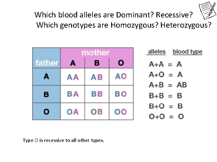 Which blood alleles are Dominant? Recessive? Which genotypes are Homozygous? Heterozygous? Type O is