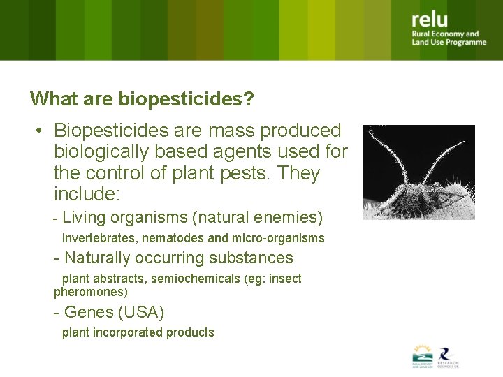 What are biopesticides? • Biopesticides are mass produced biologically based agents used for the