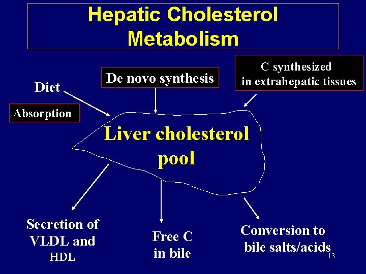 Hepatic Cholesterol Metabolism Diet De novo synthesis C synthesized in extrahepatic tissues Absorption Liver