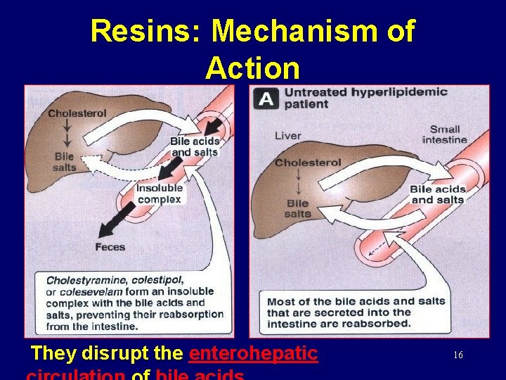 Resins: Mechanism of Action They disrupt the enterohepatic 16 