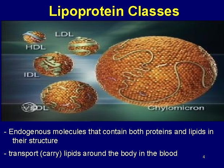 Lipoprotein Classes - Endogenous molecules that contain both proteins and lipids in their structure