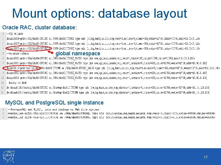 Mount options: database layout Oracle RAC, cluster database: global namespace My. SQL and Postgre.