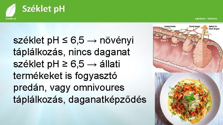 Széklet p. H széklet p. H ≤ 6, 5 → növényi táplálkozás, nincs daganat