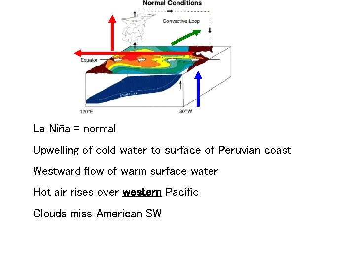 La Niña = normal Upwelling of cold water to surface of Peruvian coast Westward