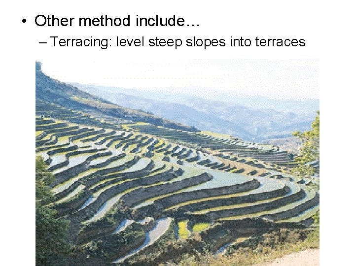  • Other method include… – Terracing: level steep slopes into terraces 