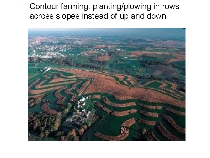 – Contour farming: planting/plowing in rows across slopes instead of up and down 